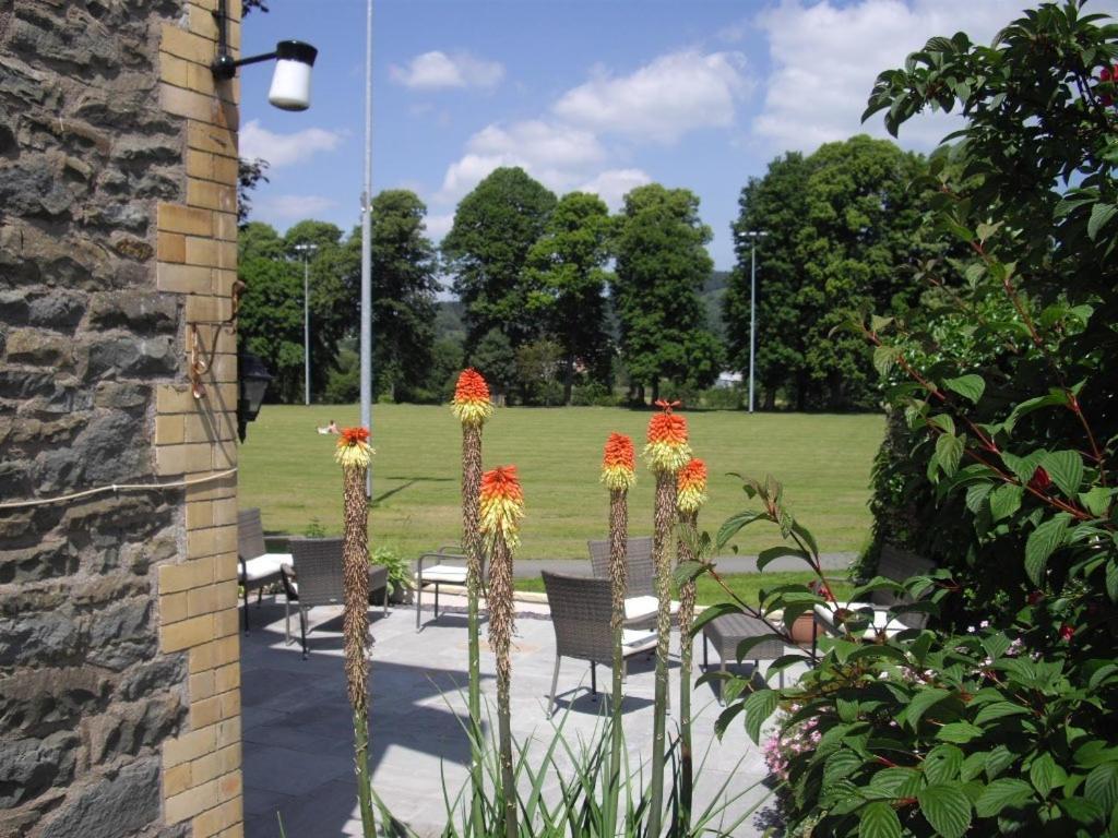 Bronwye Ξενοδοχείο Builth Wells Εξωτερικό φωτογραφία